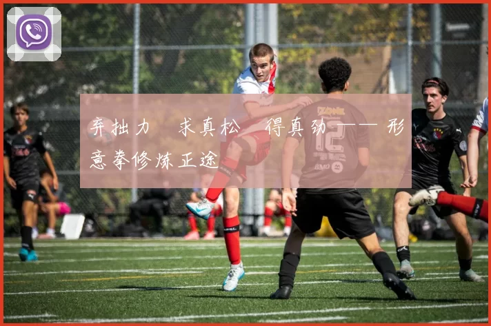 弃拙力・求真松・得真劲 —— 形意拳修炼正途