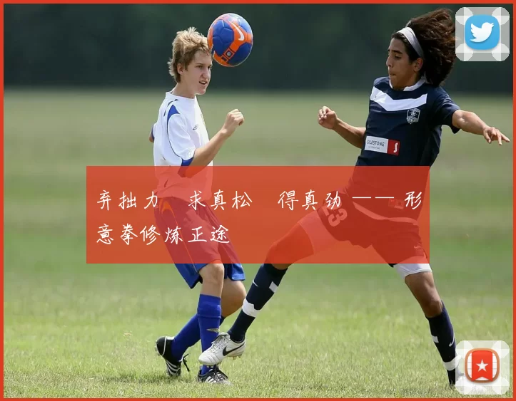 弃拙力・求真松・得真劲 —— 形意拳修炼正途