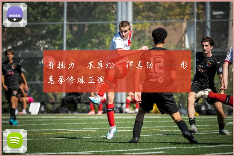 弃拙力・求真松・得真劲 —— 形意拳修炼正途