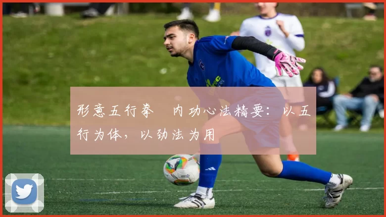 形意五行拳・内功心法精要:以五行为体,以劲法为用