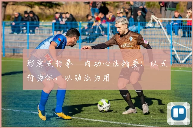 形意五行拳・内功心法精要:以五行为体,以劲法为用