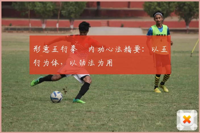 形意五行拳・内功心法精要:以五行为体,以劲法为用