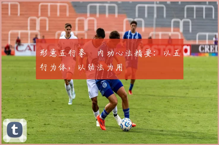 形意五行拳・内功心法精要：以五行为体，以劲法为用