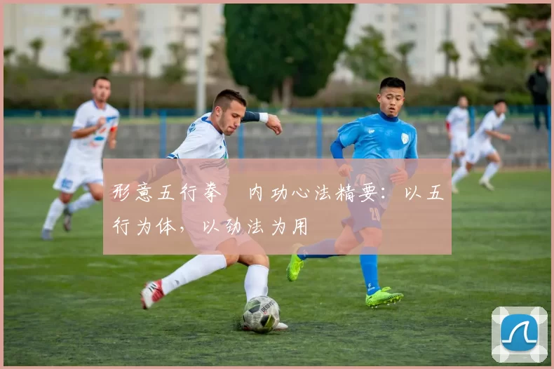 形意五行拳・内功心法精要：以五行为体，以劲法为用