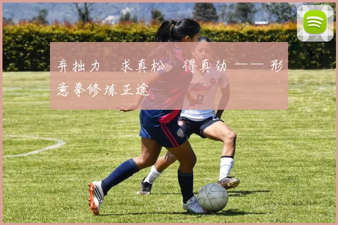 弃拙力・求真松・得真劲 —— 形意拳修炼正途