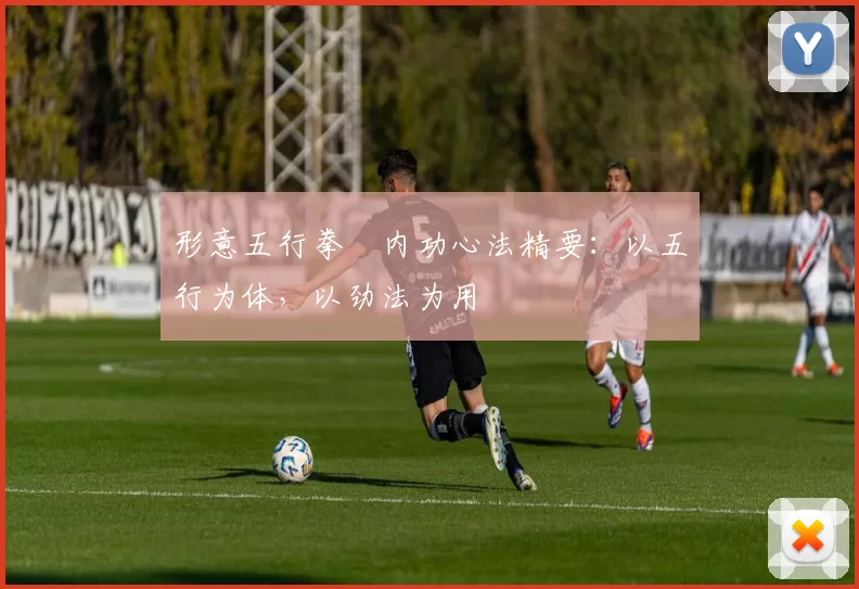 形意五行拳・内功心法精要:以五行为体,以劲法为用