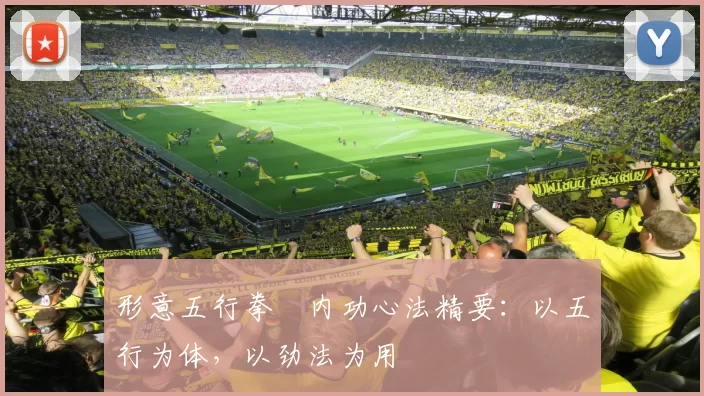 形意五行拳・内功心法精要：以五行为体，以劲法为用