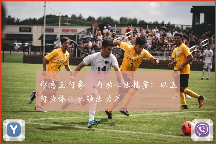 形意五行拳・内功心法精要：以五行为体，以劲法为用