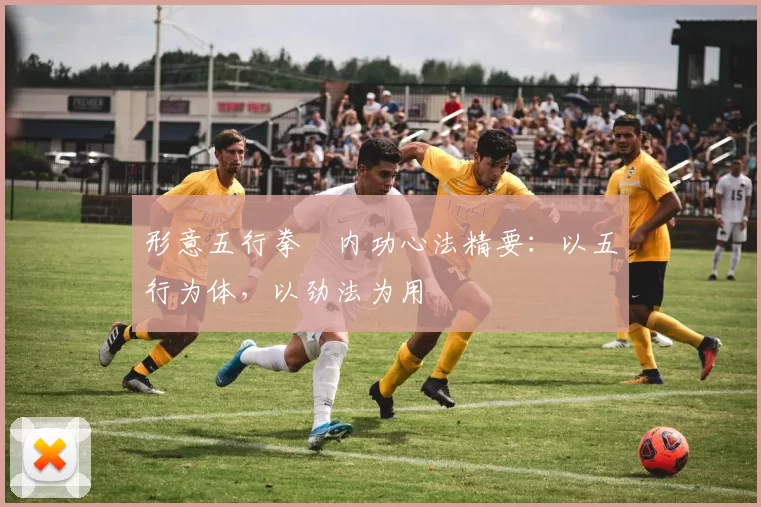 形意五行拳・内功心法精要：以五行为体，以劲法为用