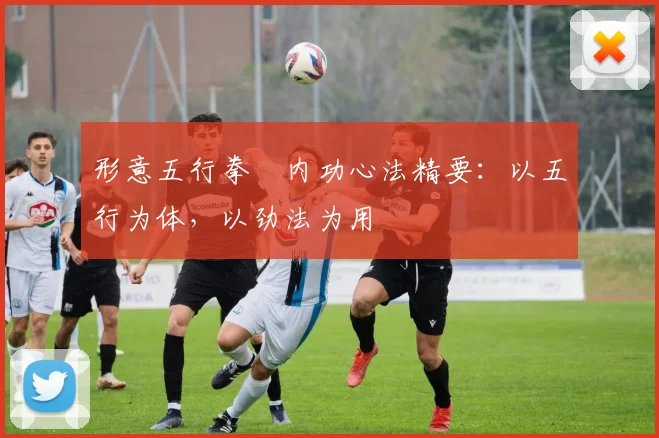 形意五行拳・内功心法精要：以五行为体，以劲法为用