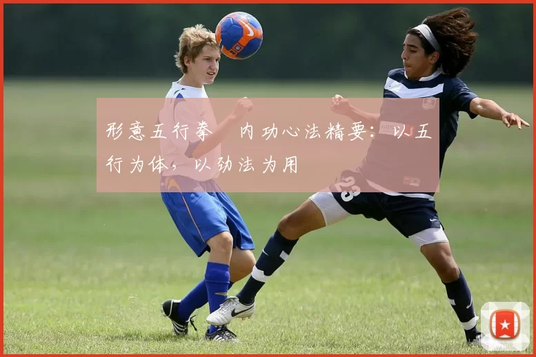 形意五行拳・内功心法精要：以五行为体，以劲法为用