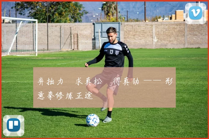 弃拙力・求真松・得真劲 —— 形意拳修炼正途