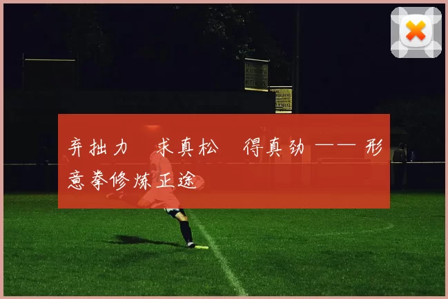 弃拙力・求真松・得真劲 —— 形意拳修炼正途