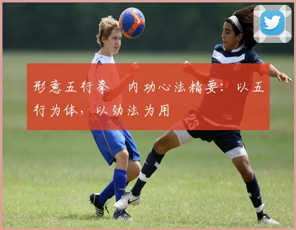 形意五行拳・内功心法精要：以五行为体，以劲法为用