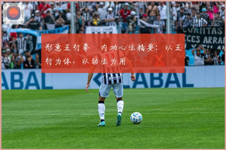 形意五行拳・内功心法精要:以五行为体,以劲法为用