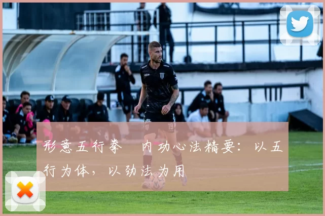 形意五行拳・内功心法精要:以五行为体,以劲法为用