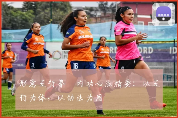 形意五行拳・内功心法精要:以五行为体,以劲法为用