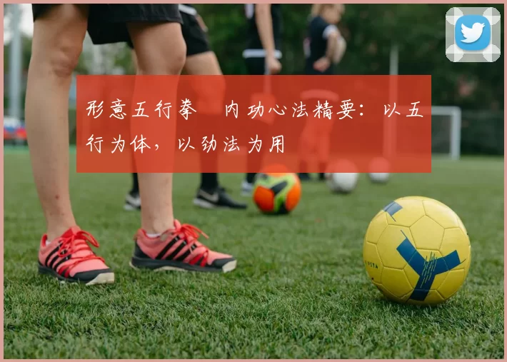 形意五行拳・内功心法精要:以五行为体,以劲法为用