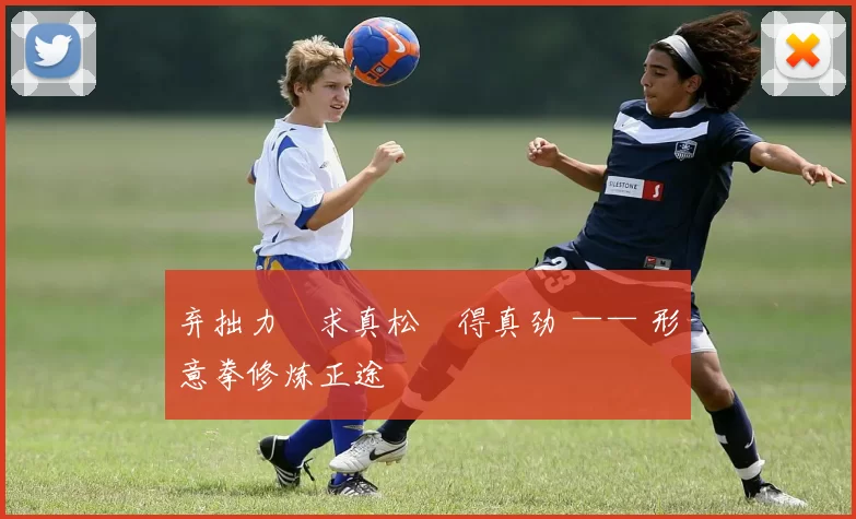 弃拙力・求真松・得真劲 —— 形意拳修炼正途