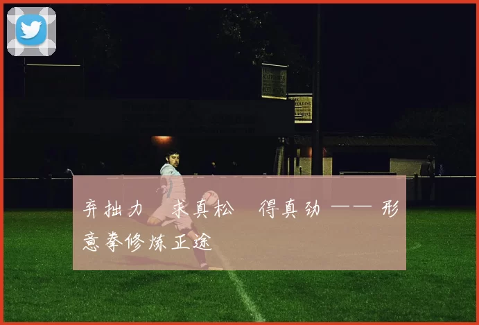 弃拙力・求真松・得真劲 —— 形意拳修炼正途