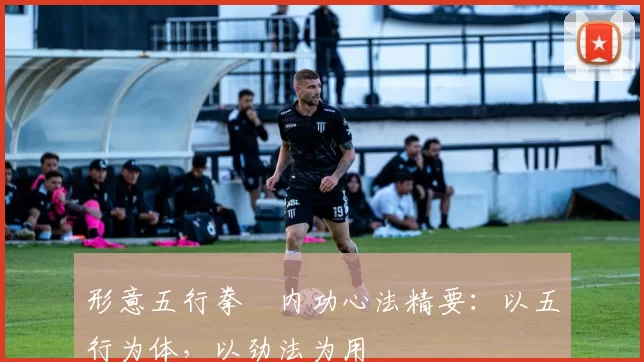 形意五行拳・内功心法精要：以五行为体，以劲法为用