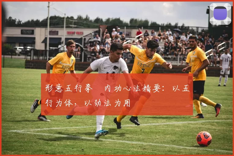 形意五行拳・内功心法精要：以五行为体，以劲法为用