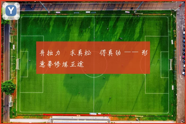 弃拙力・求真松・得真劲 —— 形意拳修炼正途