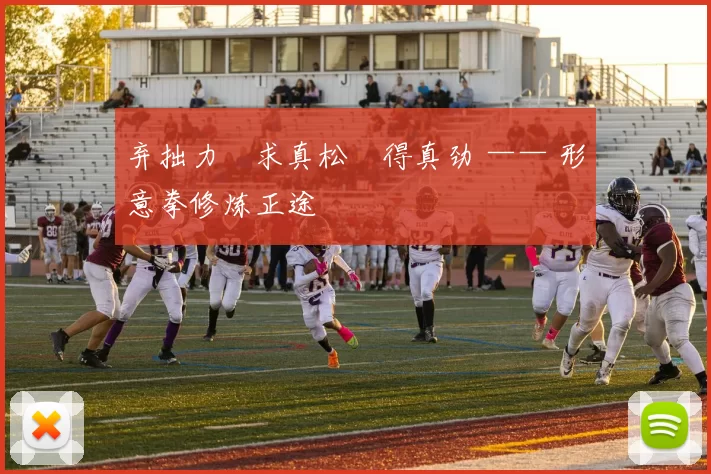 弃拙力・求真松・得真劲 —— 形意拳修炼正途