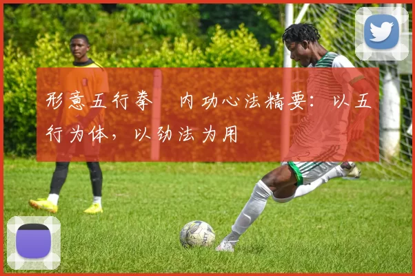 形意五行拳・内功心法精要：以五行为体，以劲法为用