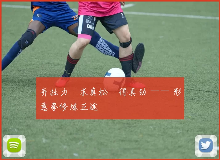 弃拙力・求真松・得真劲 —— 形意拳修炼正途