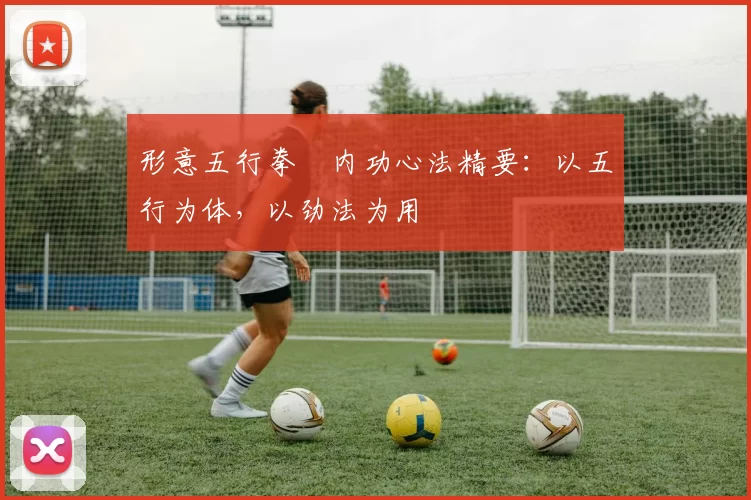 形意五行拳・内功心法精要:以五行为体,以劲法为用