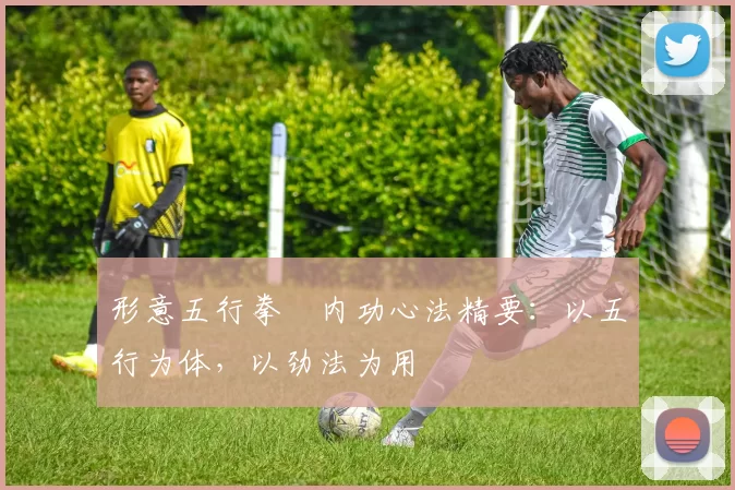 形意五行拳・内功心法精要:以五行为体,以劲法为用