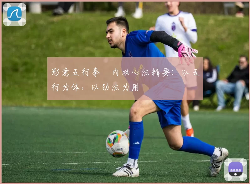 形意五行拳・内功心法精要：以五行为体，以劲法为用