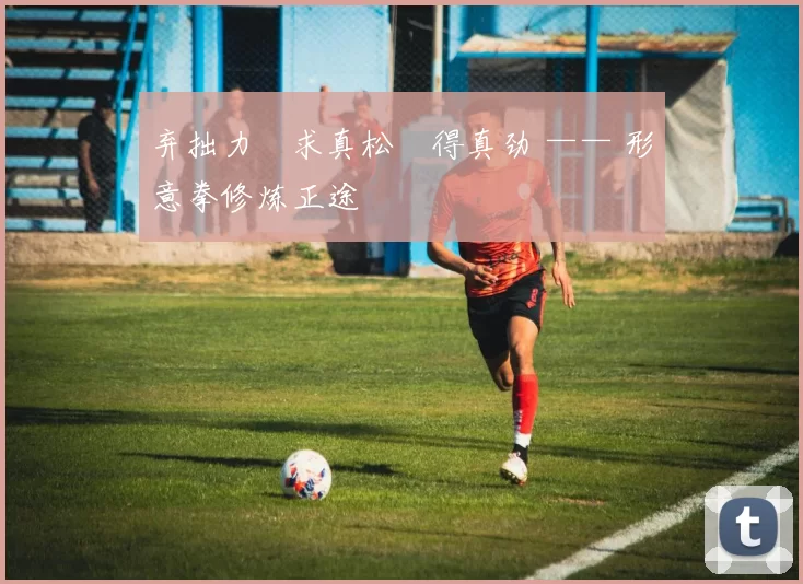 弃拙力・求真松・得真劲 —— 形意拳修炼正途