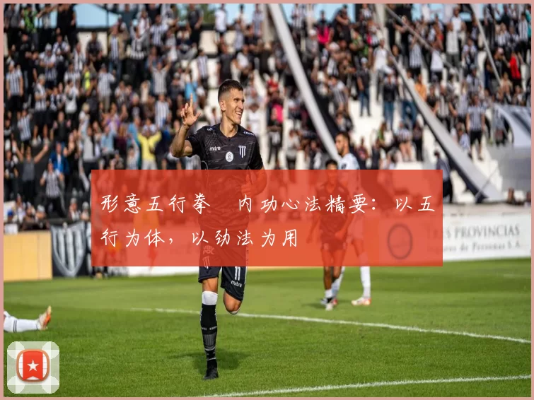 形意五行拳・内功心法精要：以五行为体，以劲法为用