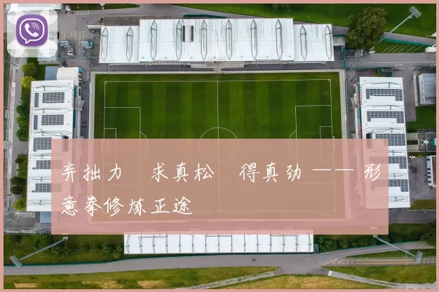 弃拙力・求真松・得真劲 —— 形意拳修炼正途