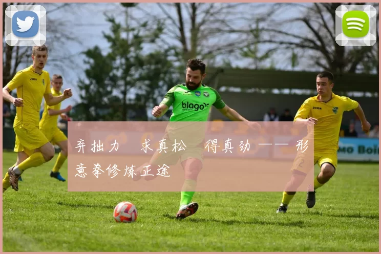 弃拙力・求真松・得真劲 —— 形意拳修炼正途