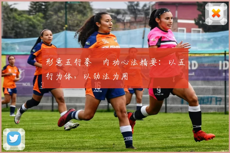 形意五行拳・内功心法精要:以五行为体,以劲法为用