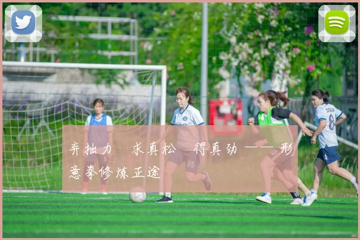 弃拙力・求真松・得真劲 —— 形意拳修炼正途