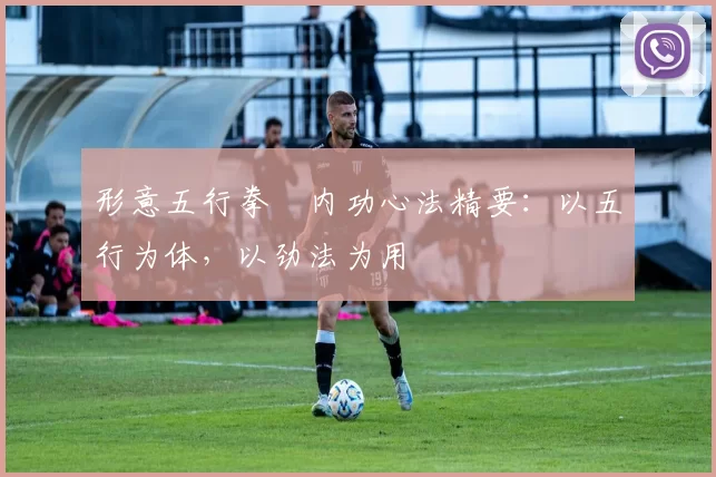 形意五行拳・内功心法精要:以五行为体,以劲法为用