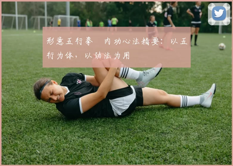 形意五行拳・内功心法精要：以五行为体，以劲法为用