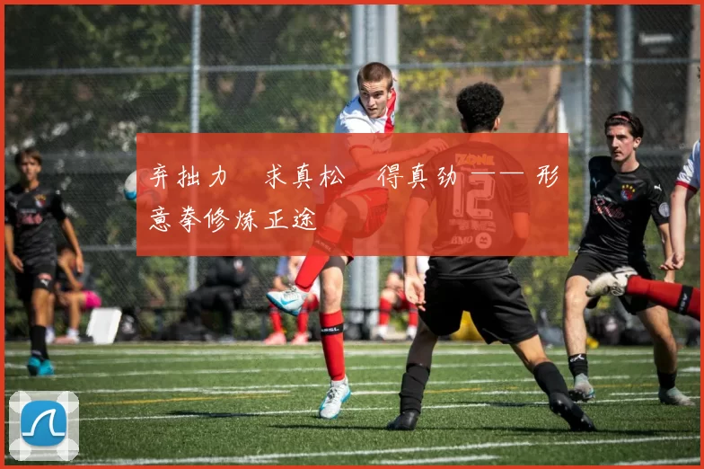 弃拙力・求真松・得真劲 —— 形意拳修炼正途