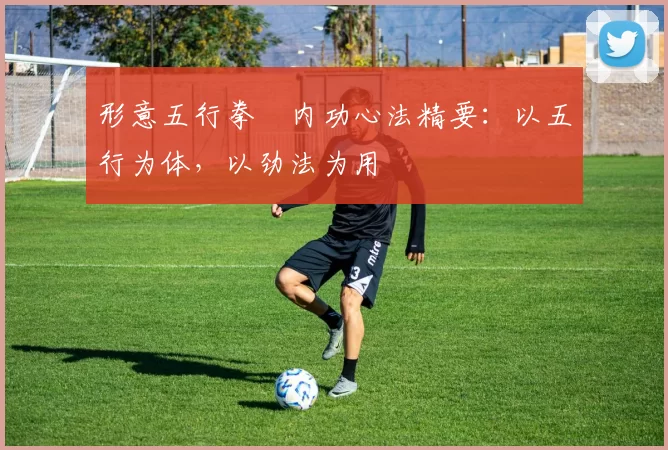 形意五行拳・内功心法精要：以五行为体，以劲法为用