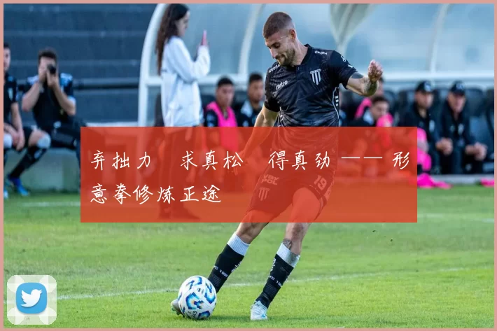 弃拙力・求真松・得真劲 —— 形意拳修炼正途