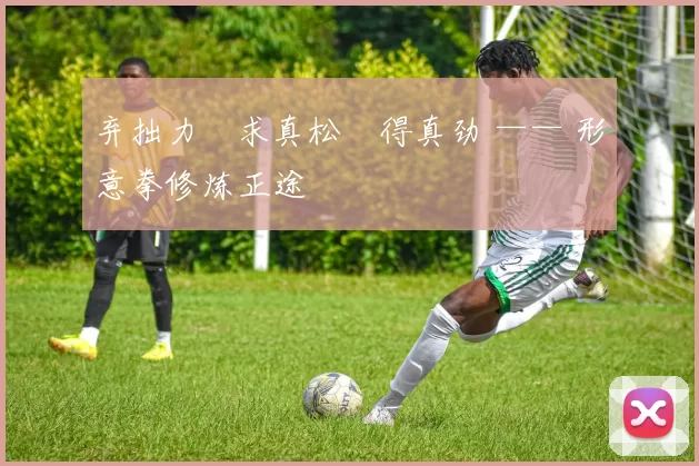 弃拙力・求真松・得真劲 —— 形意拳修炼正途