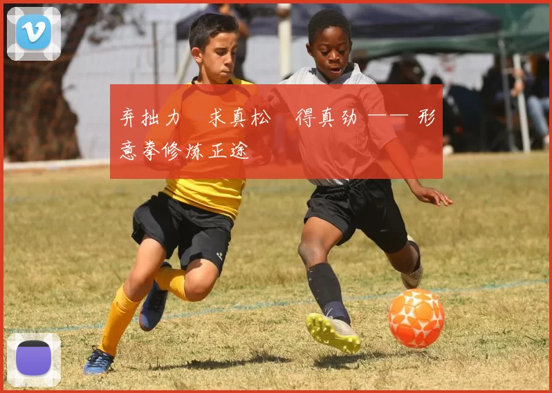 弃拙力・求真松・得真劲 —— 形意拳修炼正途