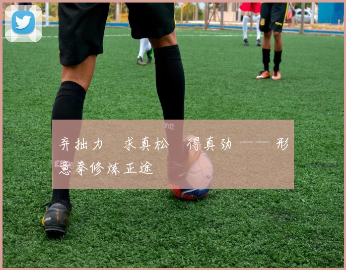 弃拙力・求真松・得真劲 —— 形意拳修炼正途