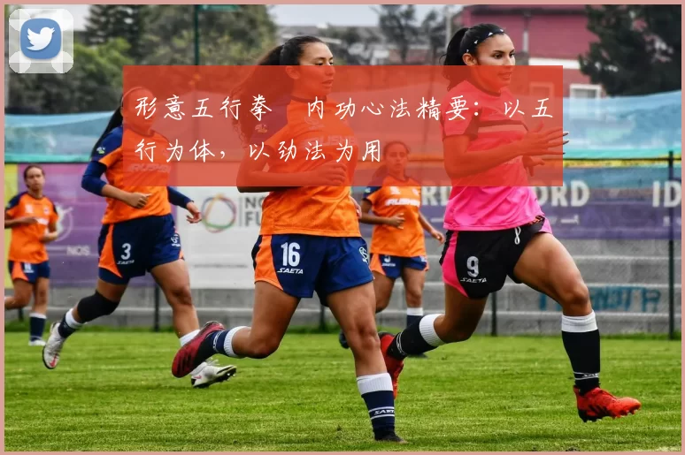 形意五行拳・内功心法精要：以五行为体，以劲法为用