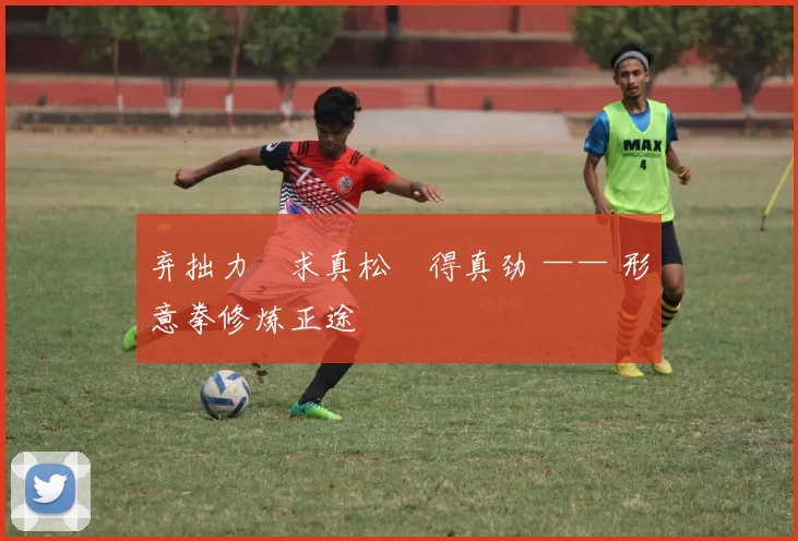 弃拙力・求真松・得真劲 —— 形意拳修炼正途