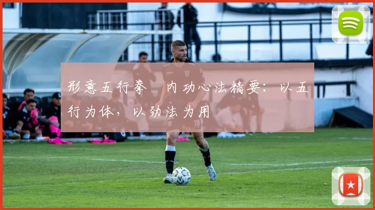 形意五行拳・内功心法精要：以五行为体，以劲法为用